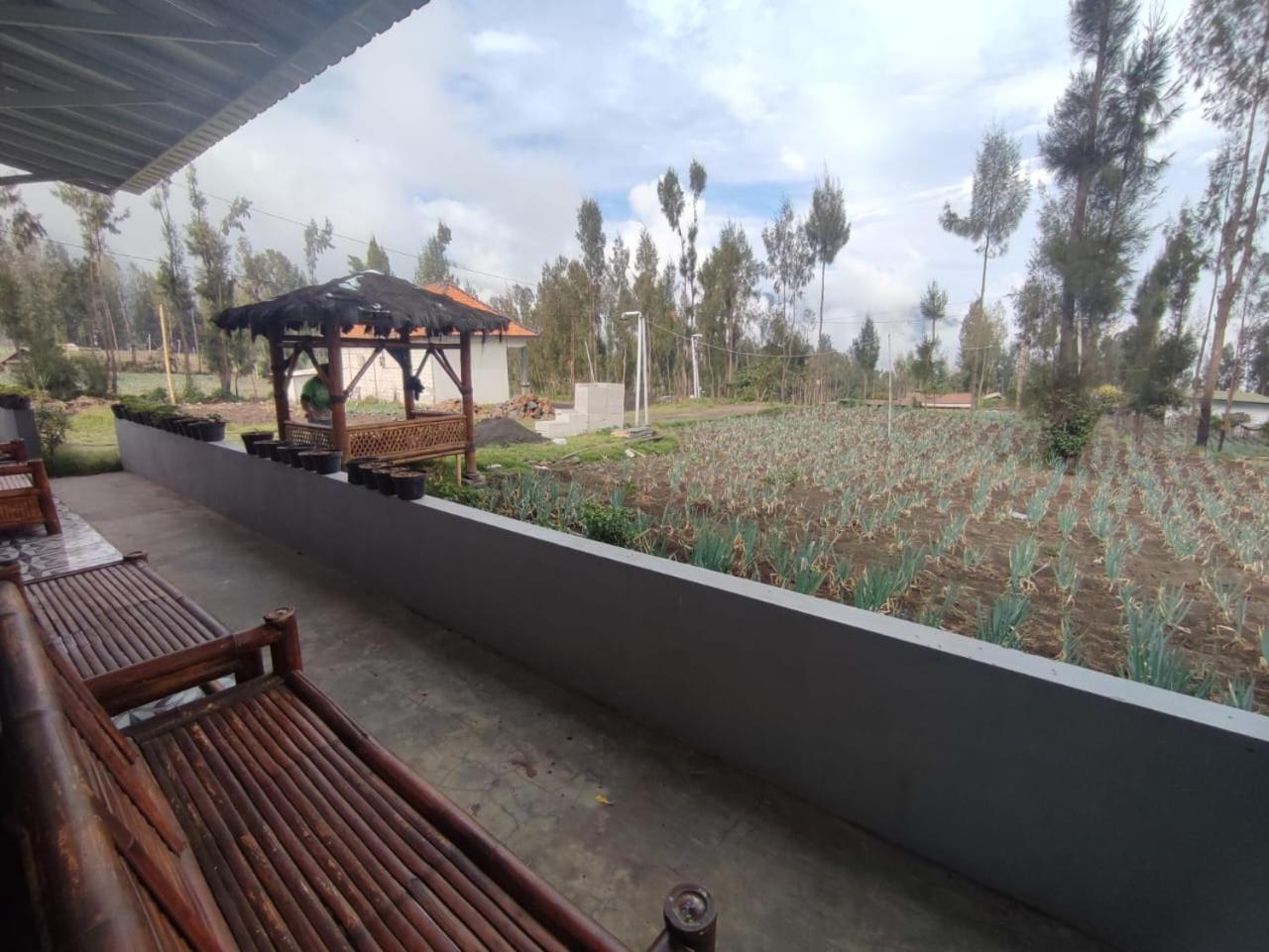 Elen Homestay By Abm Bromo Eksteriør billede