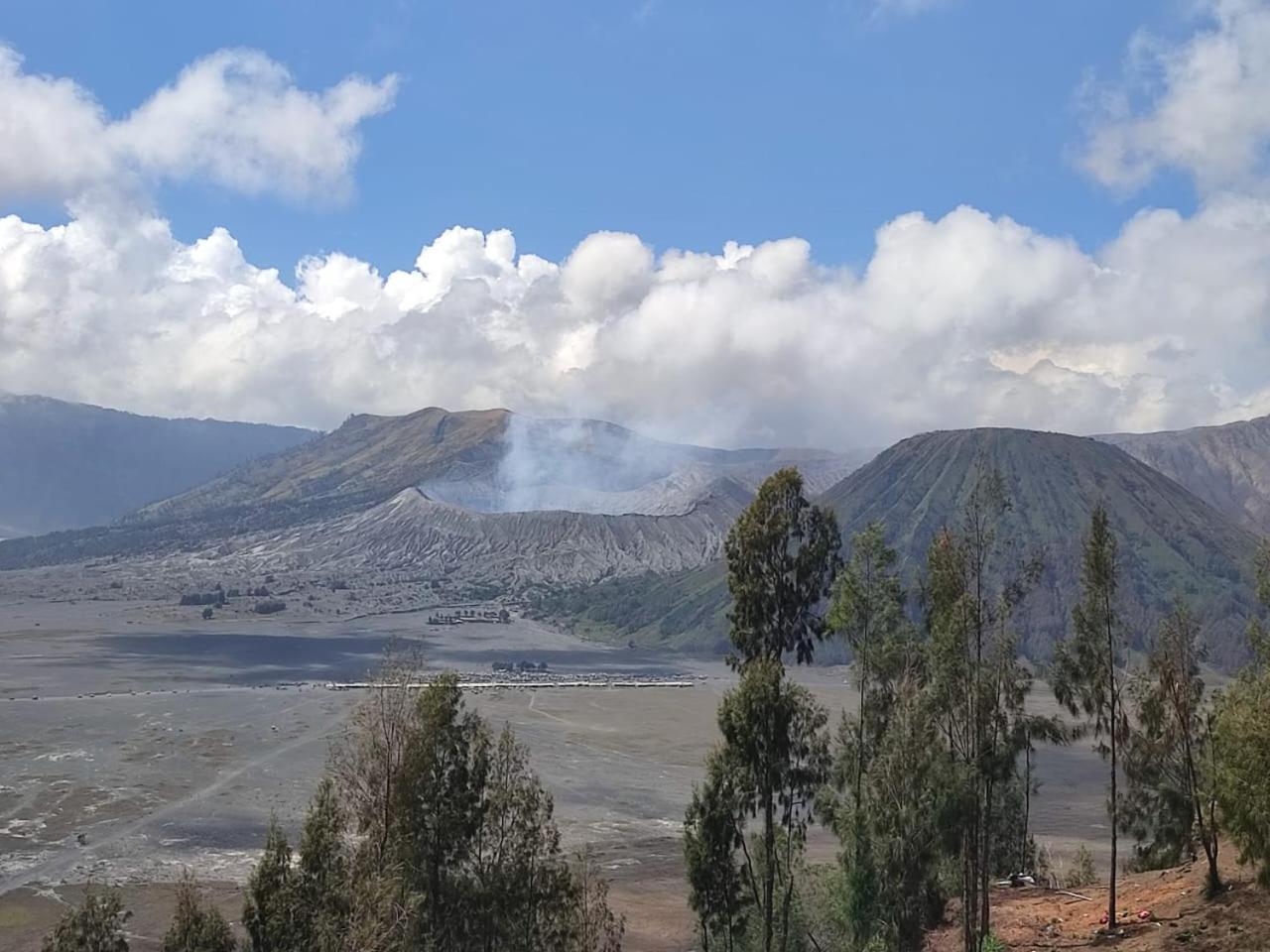 Elen Homestay By Abm Bromo Eksteriør billede