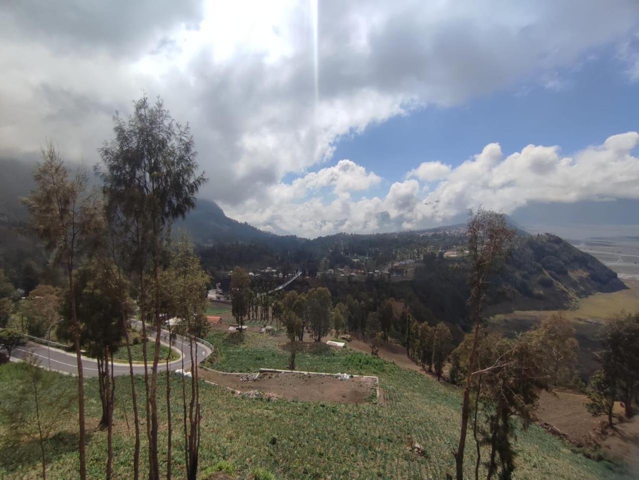 Elen Homestay By Abm Bromo Eksteriør billede
